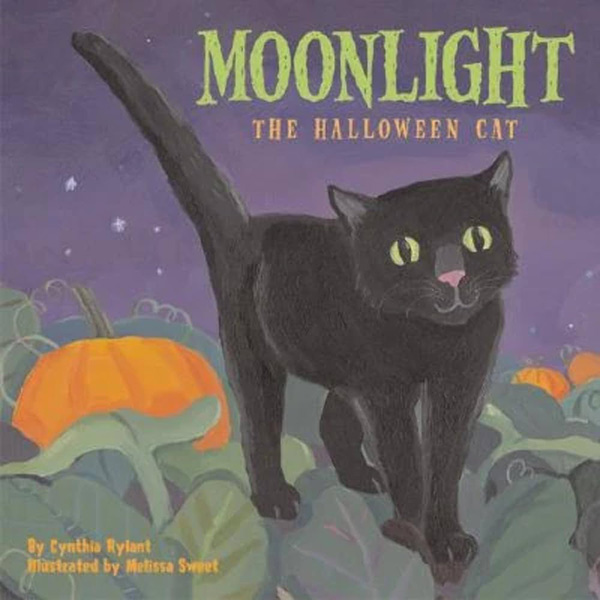 Moonlight the Halloween Cat