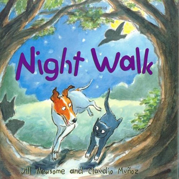 Night Walk (Newsome)