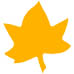 Leaf Maple