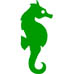Sea-Horse