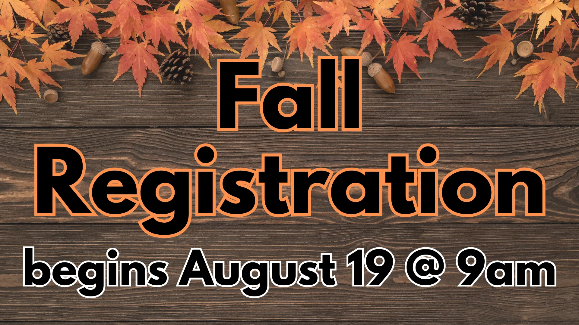 Fall Registration begins Tuesday, August 19 at 9am. Sign-ups for fall programs at Hamburg Township Library.