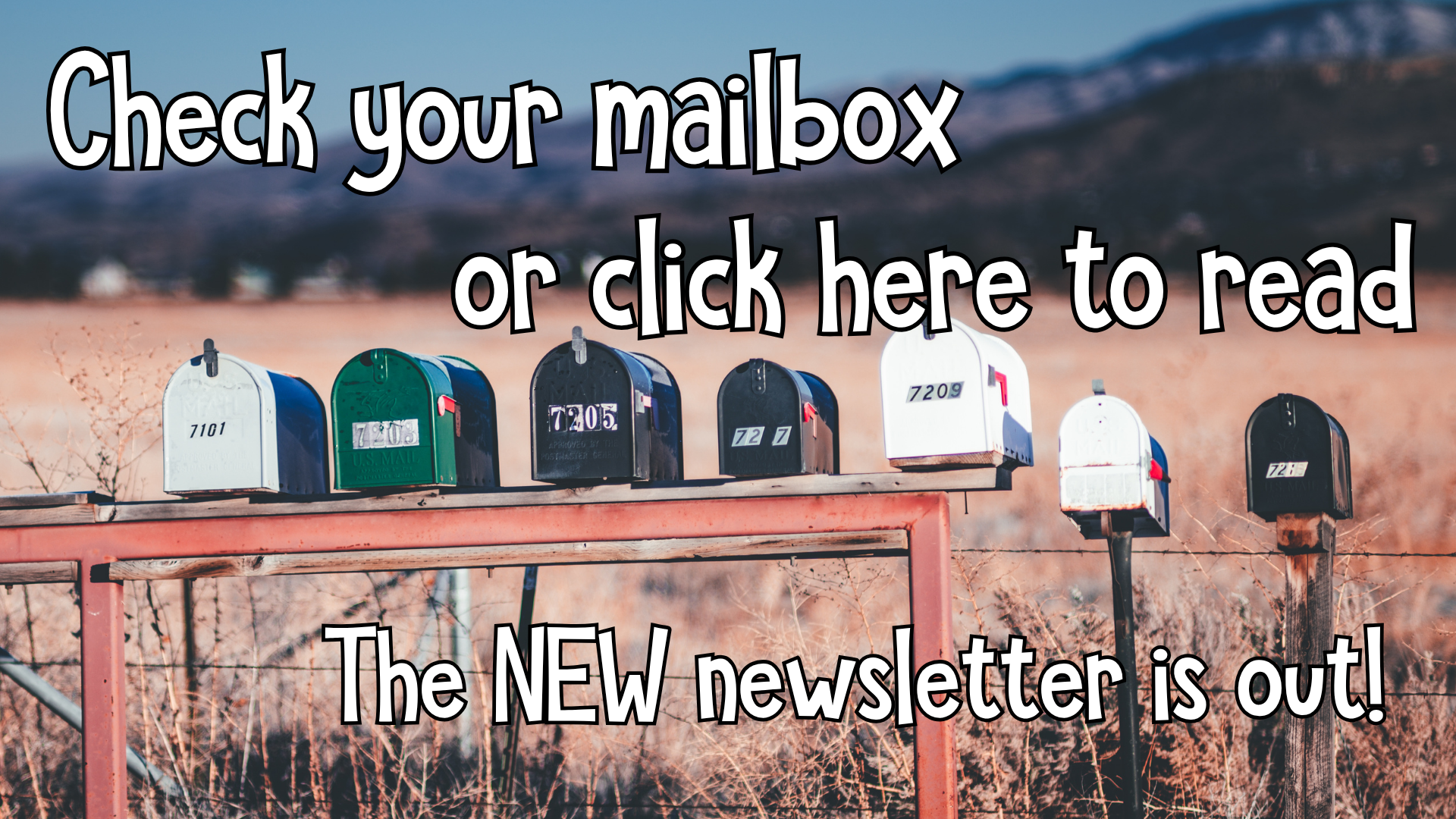 Check your mailbox or click here to read - the new Hamburg Township Library newsletter is out!