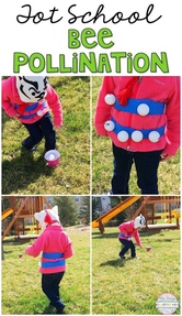 Bee Pollination Game