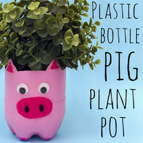 Pig Planters